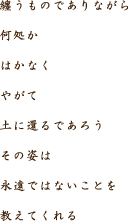 纏うものでありながら　何処か　はかなく　やがて　土に還るであろう　その姿は　永遠ではないことを　教えてくれる